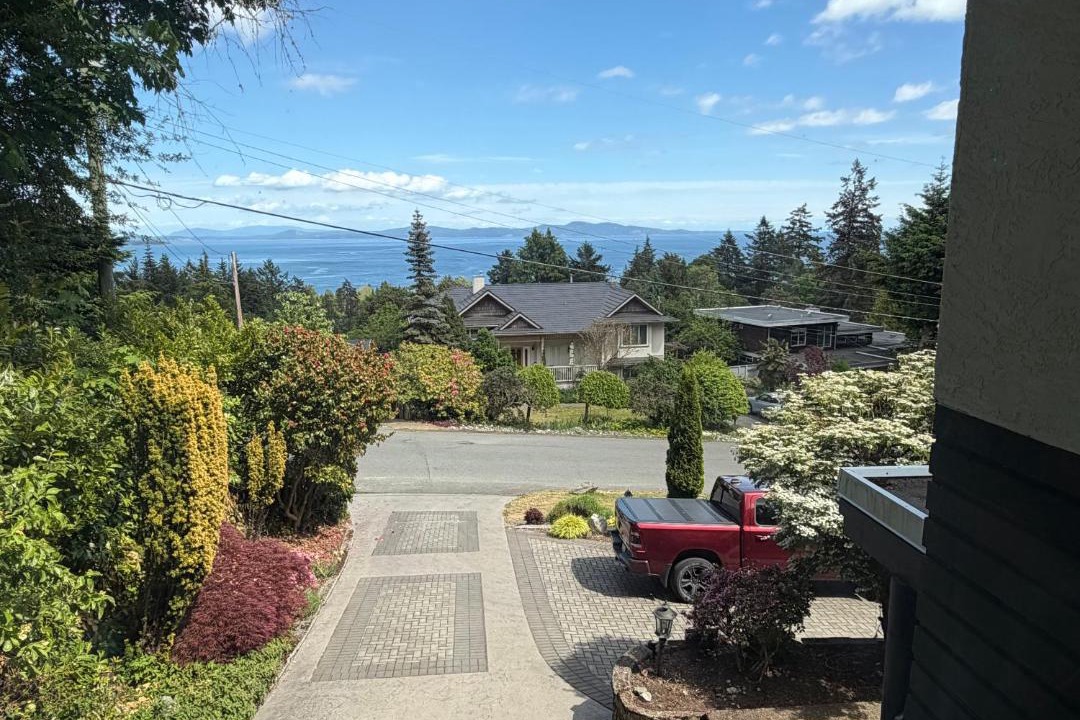 Photo of Others in Cordova Bay