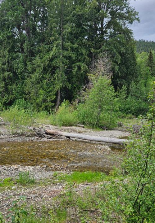 Photo of Others in Thompson Okanagan