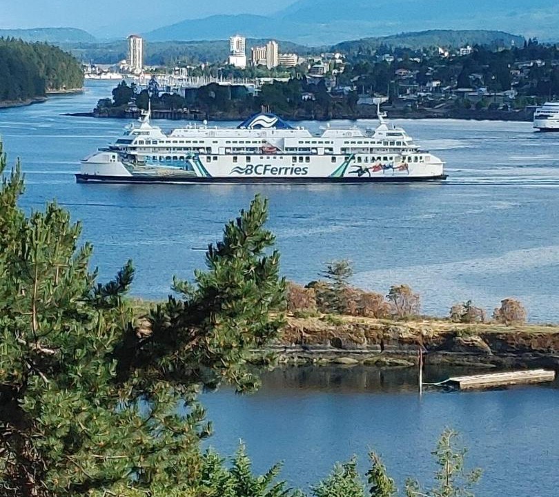 Photo of Others in Departure Bay