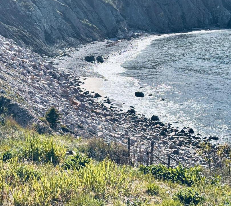 Photo of Others in White Point