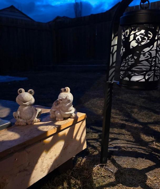 Photo of Others in Northeast Edmonton
