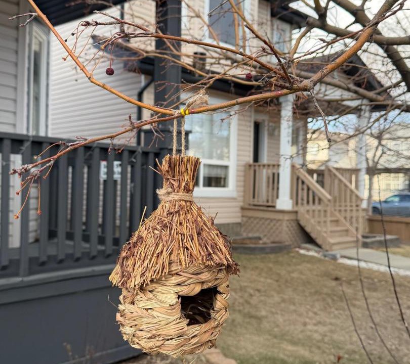 Photo of Others in Northeast Edmonton