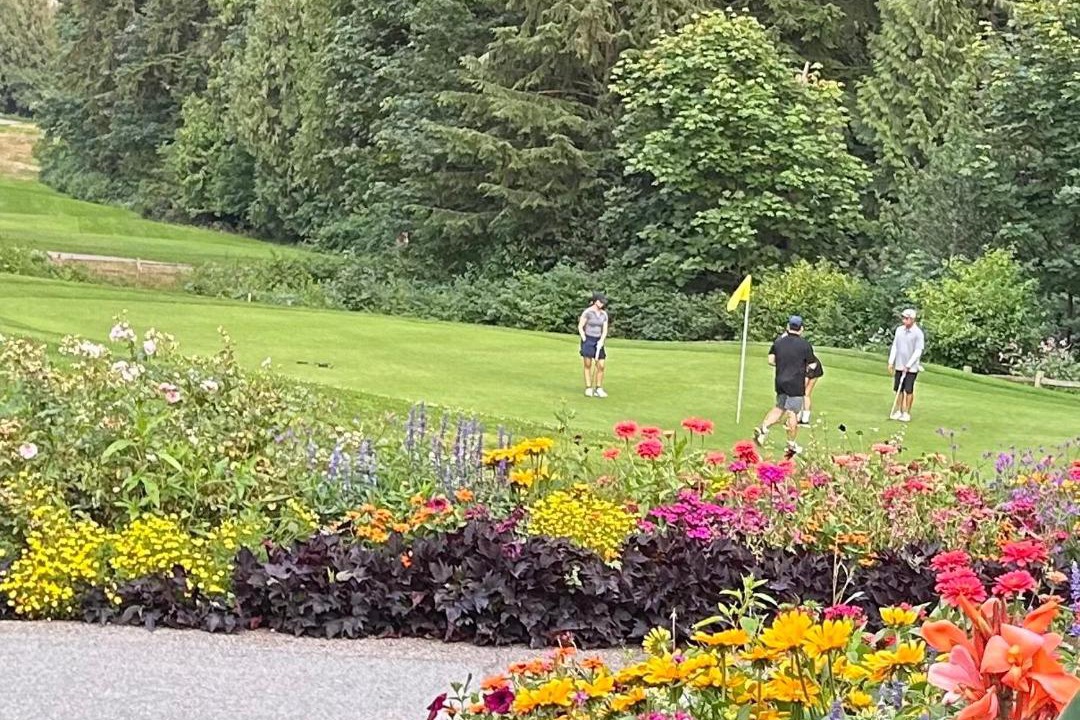 Photo of Others in Killarney