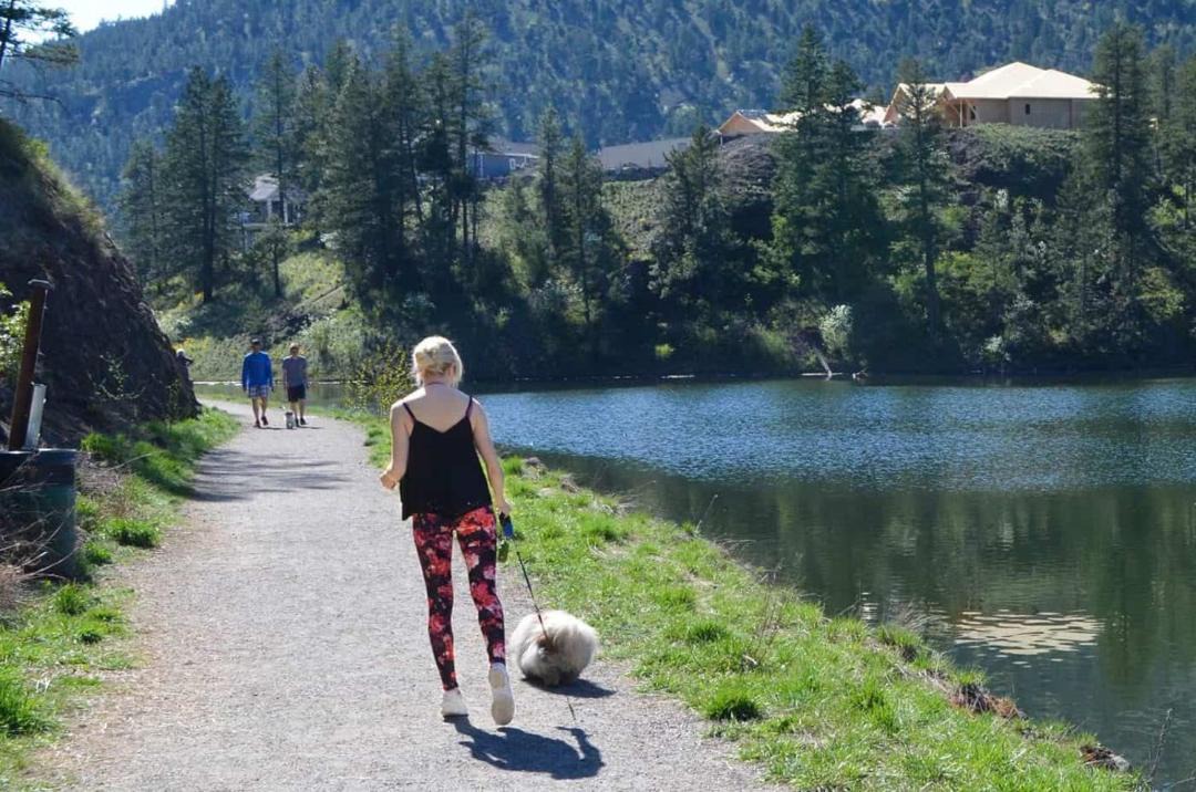 Photo of Others in Central Okanagan
