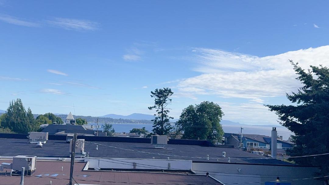 Photo of Others in White Rock