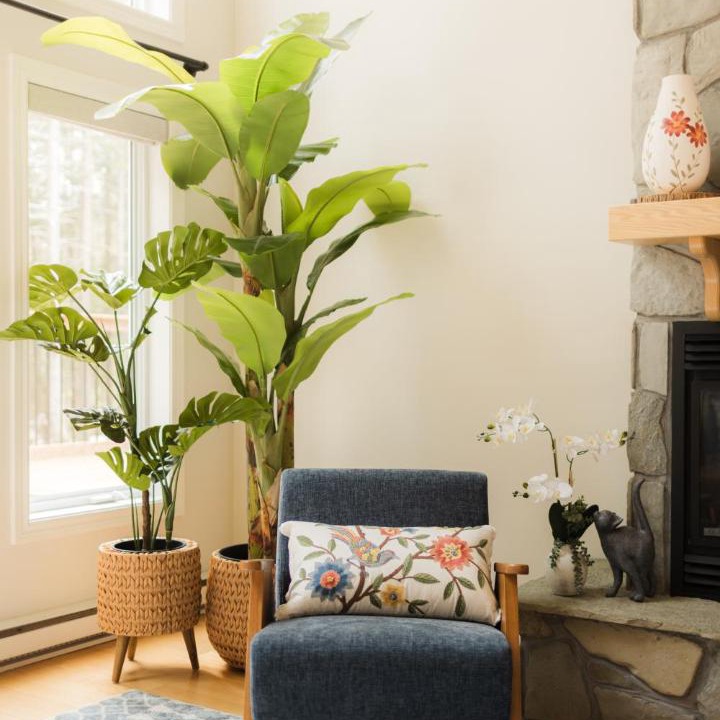 Photo of Livingroom in Humber Valley