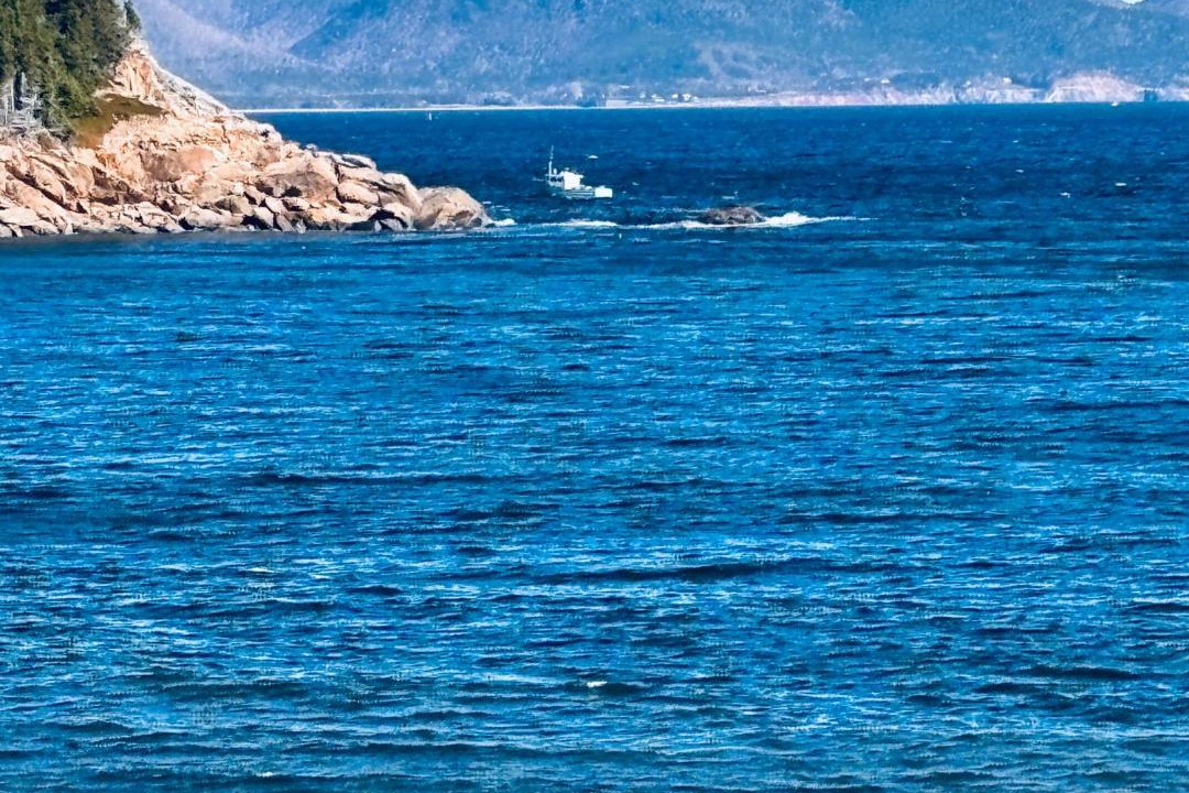 Photo of Others in White Point