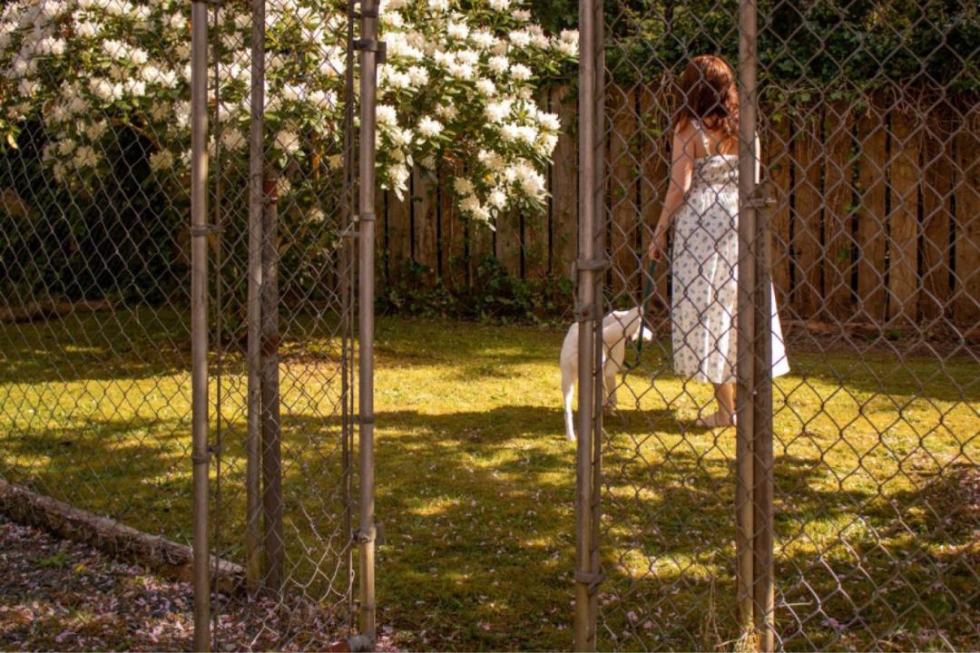Photo of Others in Ucluelet