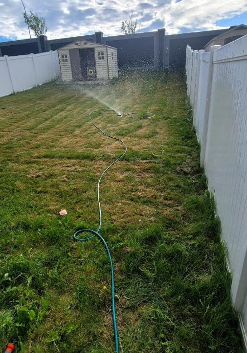 Photo of Others in Northwest Calgary
