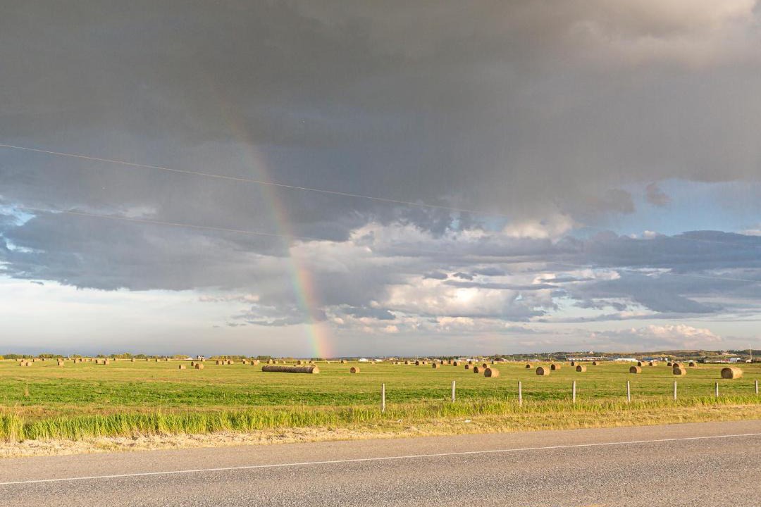 Photo of Others in Sundre