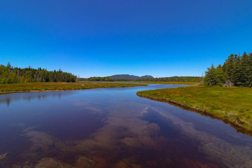 Photo of Others in Mount Desert