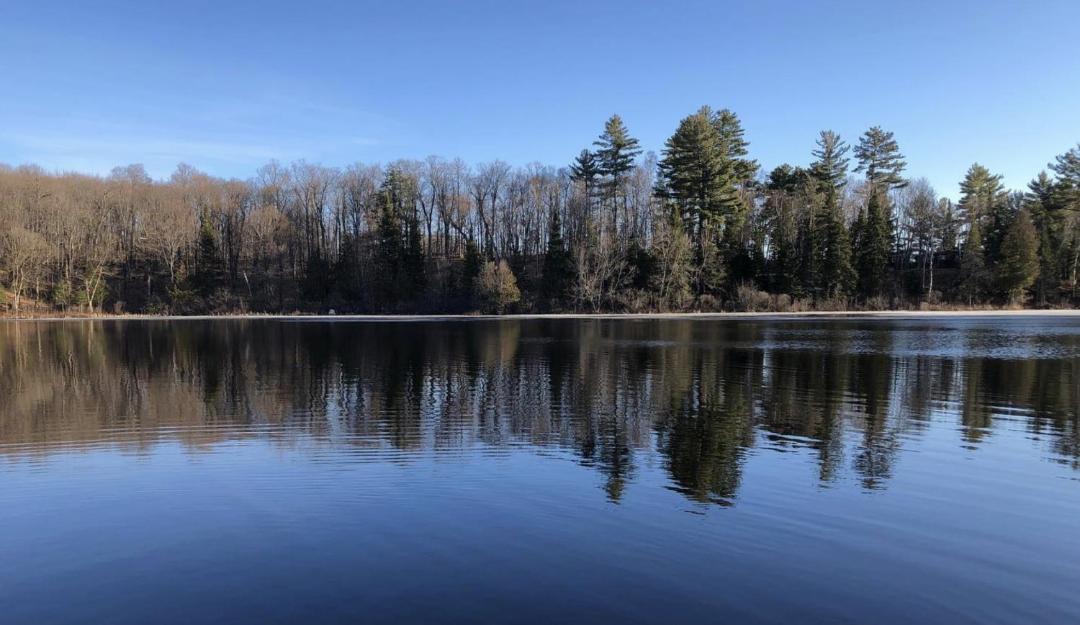 Photo of Others in Magnetawan