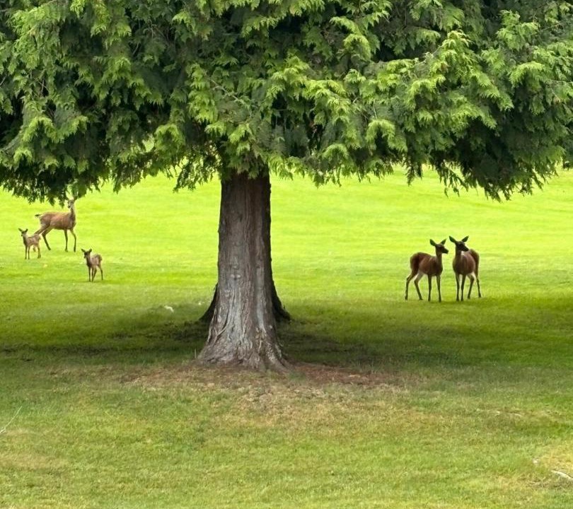 Photo of Others in Regional District of Nanaimo