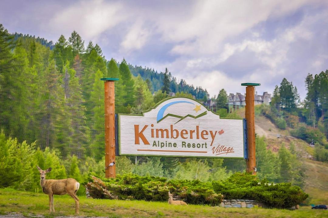Photo of Others in East Kootenay