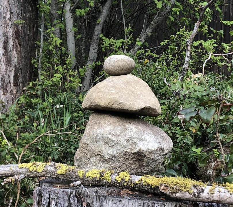 Photo of Others in Nelson