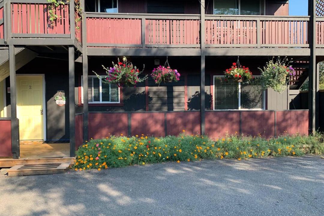 Photo of Others in Coal Harbour