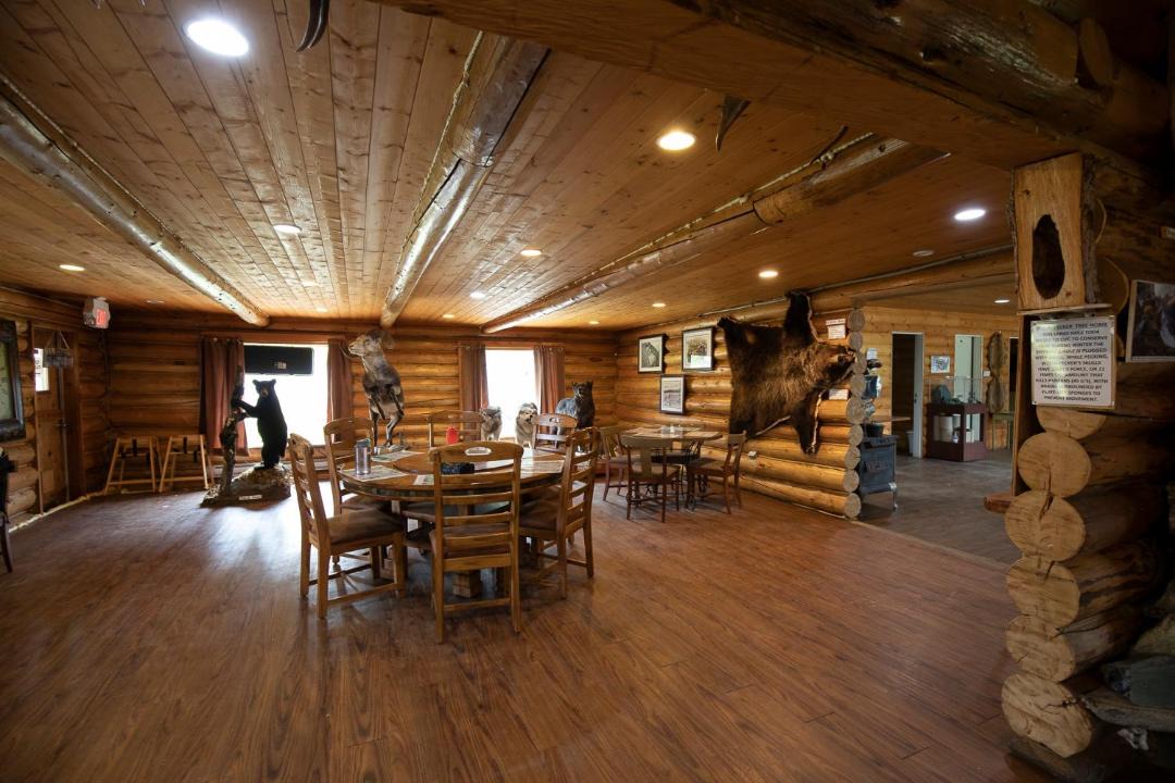Photo of Others in Iskut