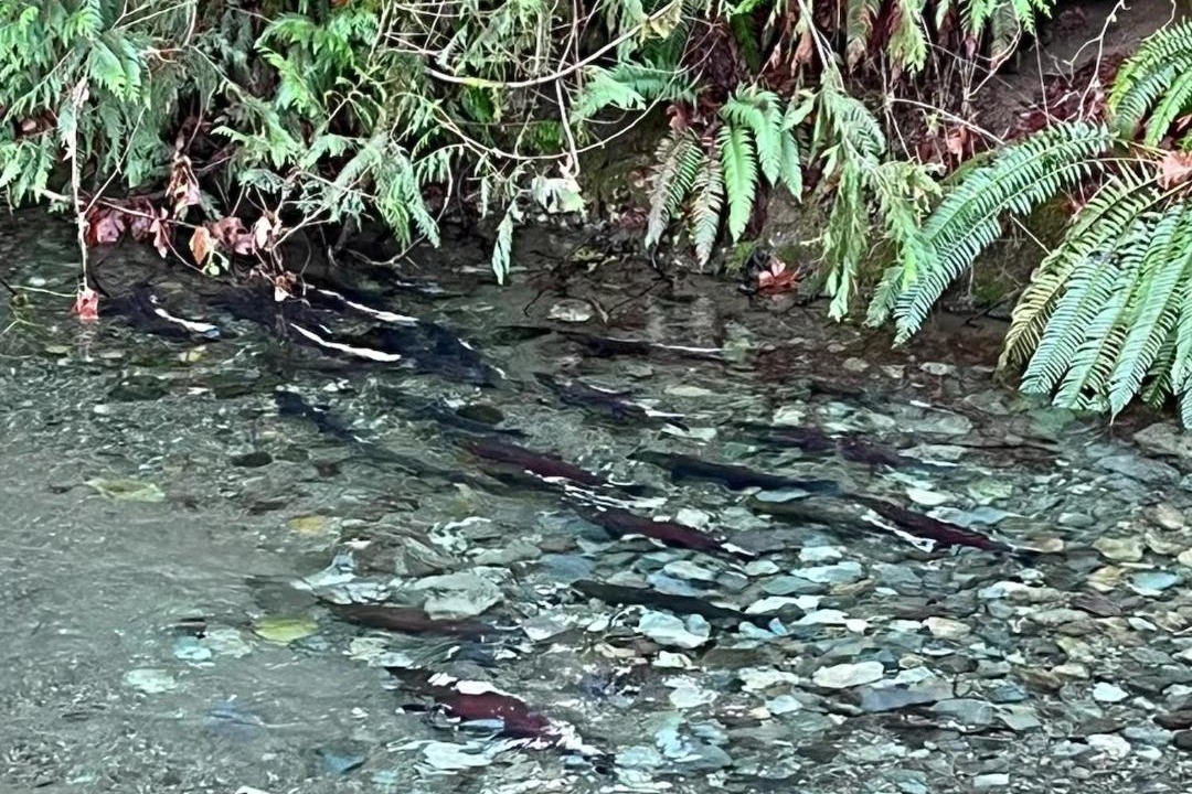 Photo of Others in Honeymoon Bay