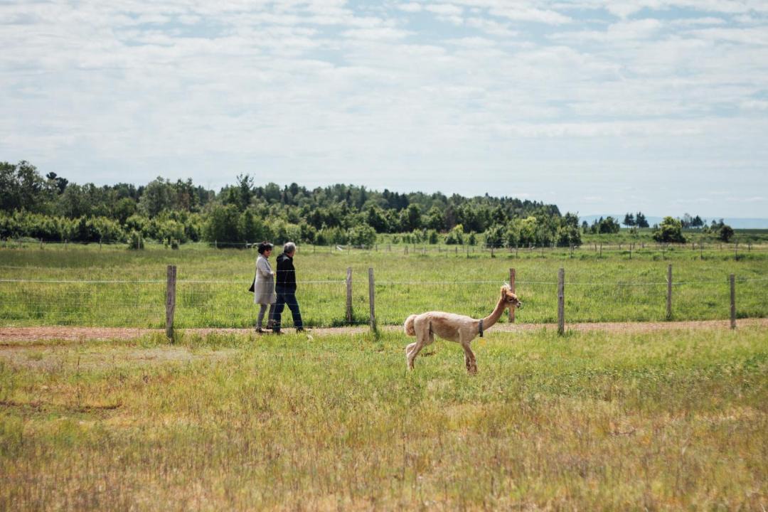 Photo of Others in Baie-St-Paul