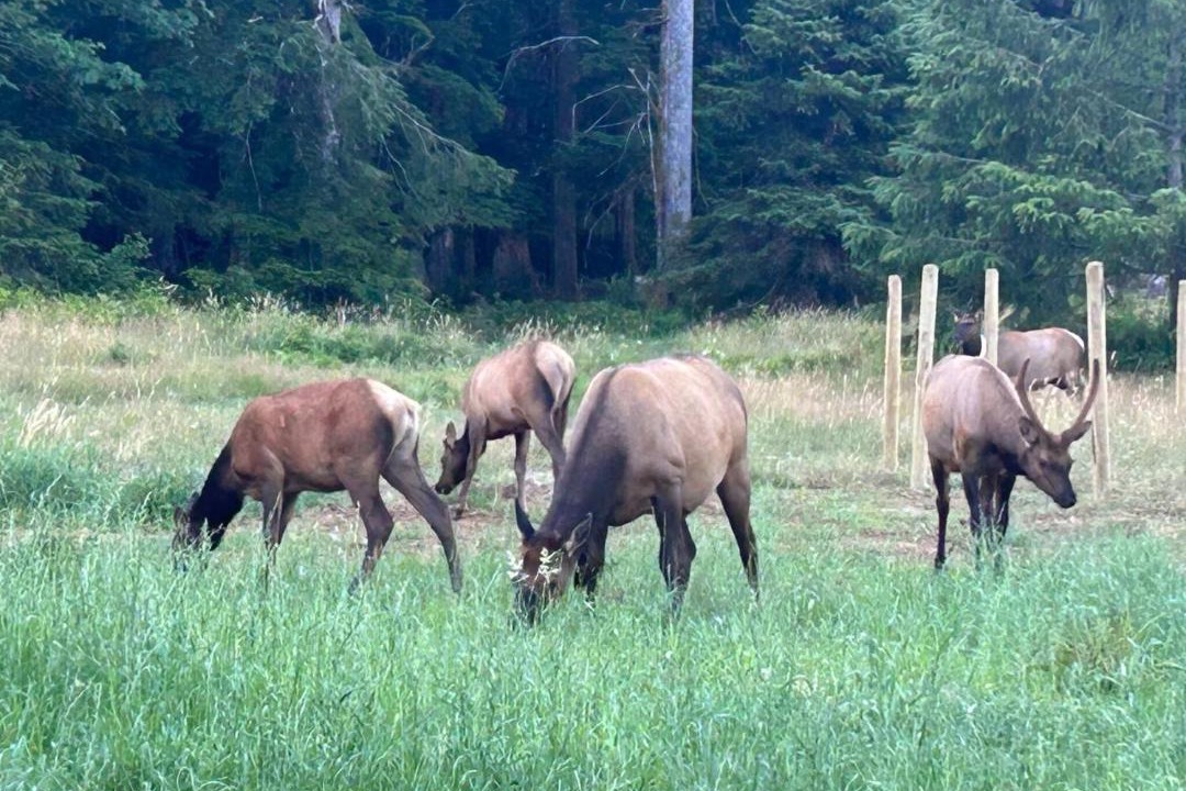 Photo of Others in Strathcona