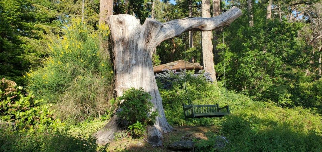 Photo of Others in Salt Spring Island