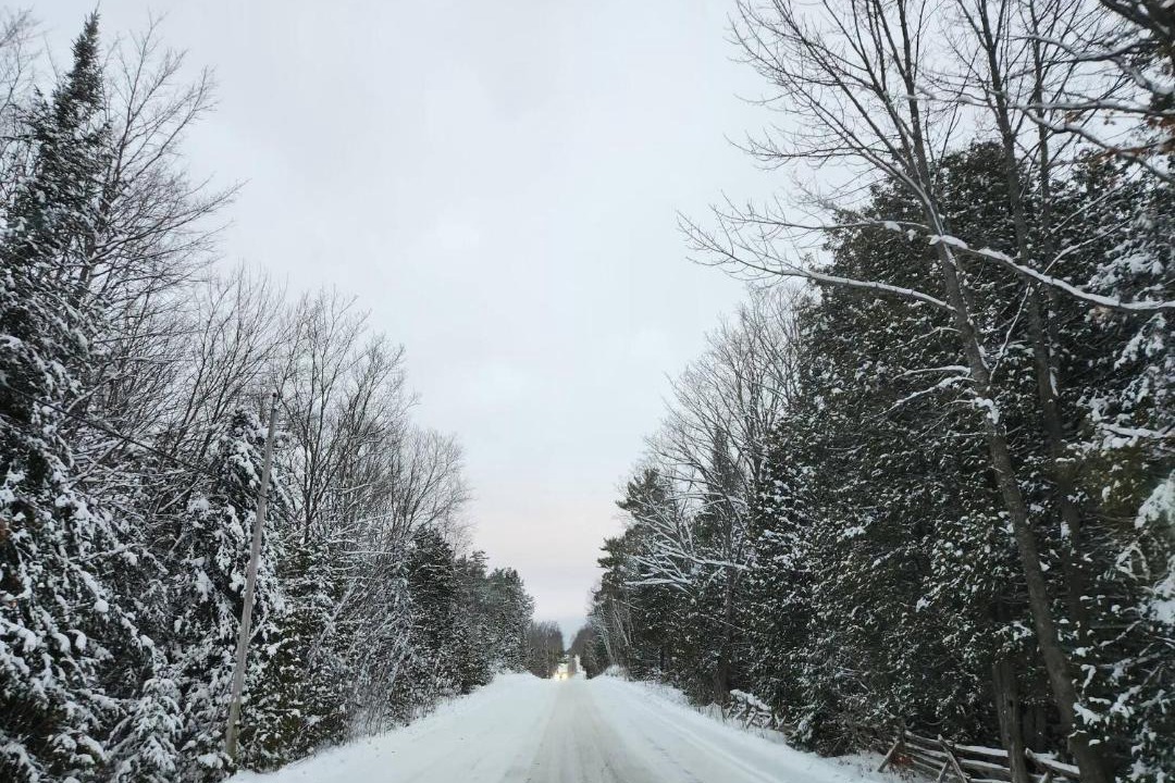 Photo of Others in Trent Lakes