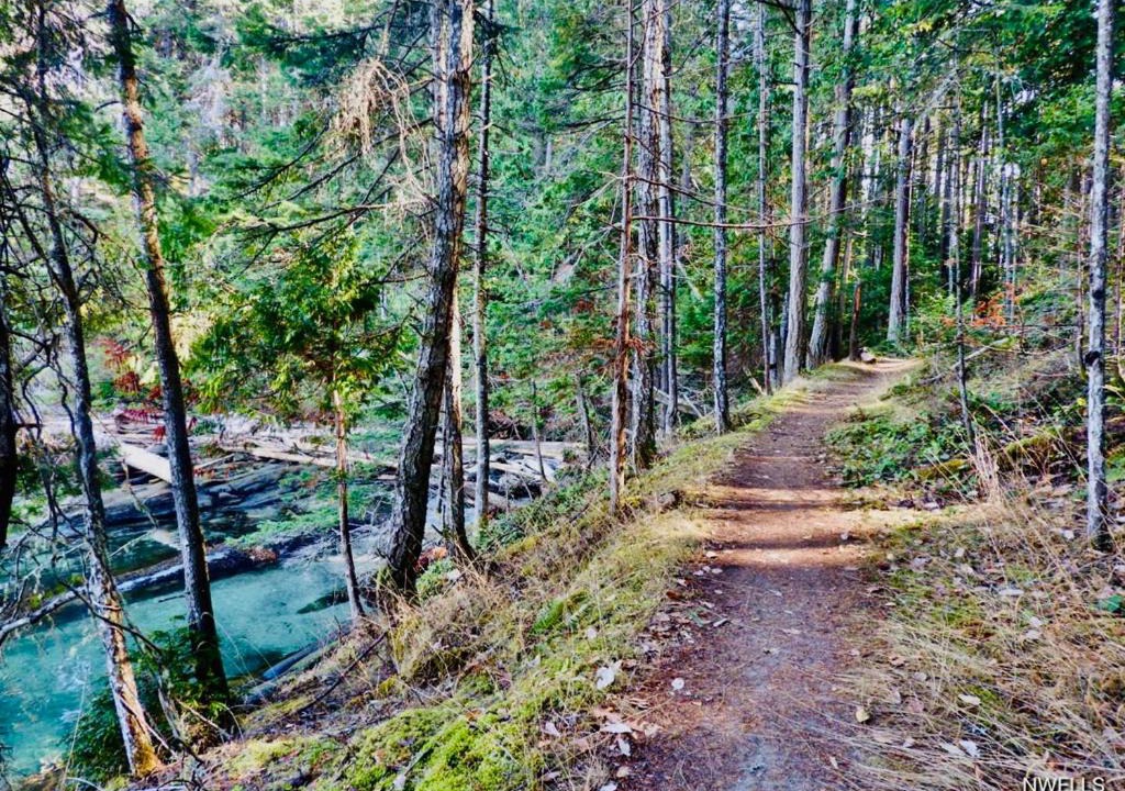 Photo of Others in Mayne Island