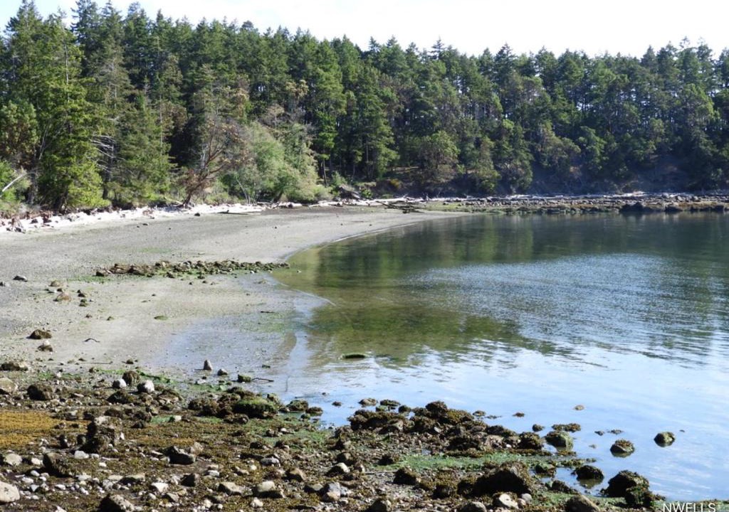 Photo of Others in Mayne Island