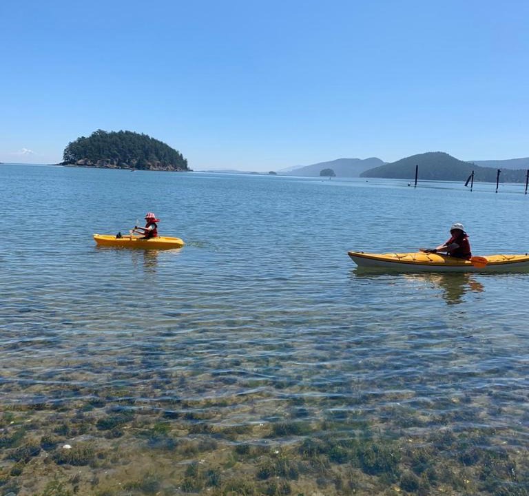 Photo of Others in Mayne Island