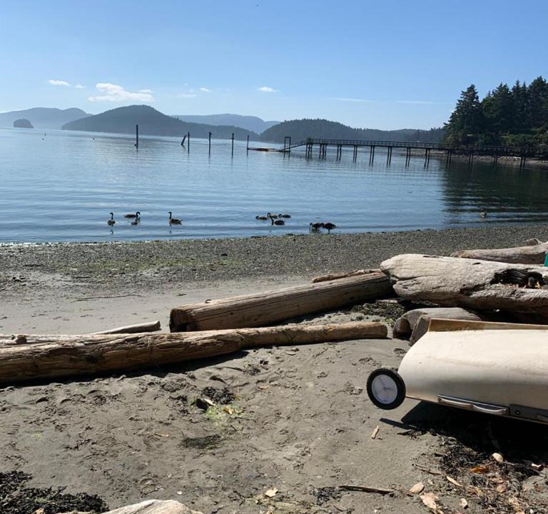 Photo of Others in Mayne Island
