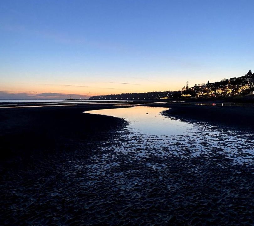 Photo of Others in White Rock