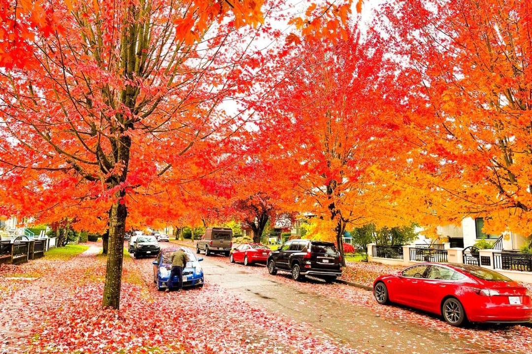 Photo of Others in Renfrew-Collingwood