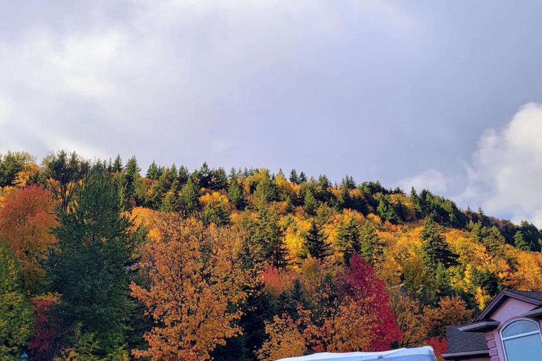 Photo of Others in Lower Sumas Mountain