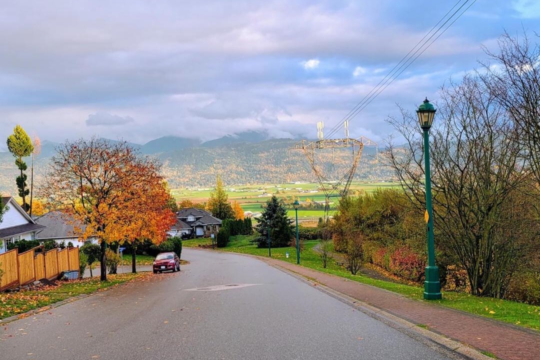 Photo of Others in Lower Sumas Mountain