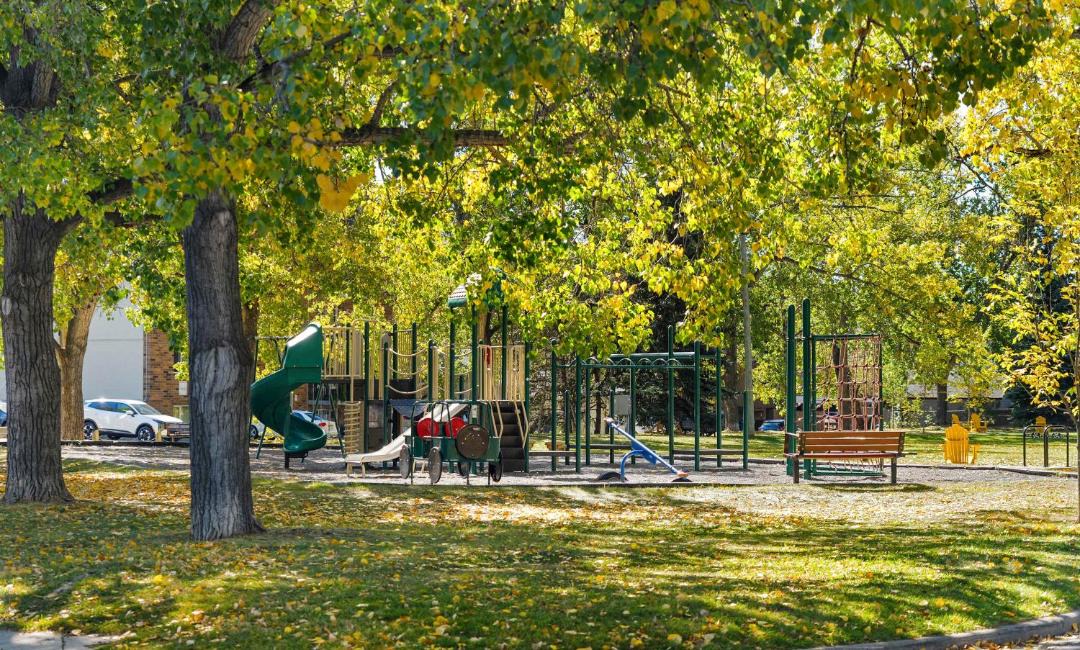 Photo of Others in Sunnyside