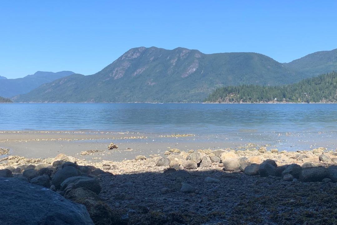Photo of Others in West Porpoise Bay