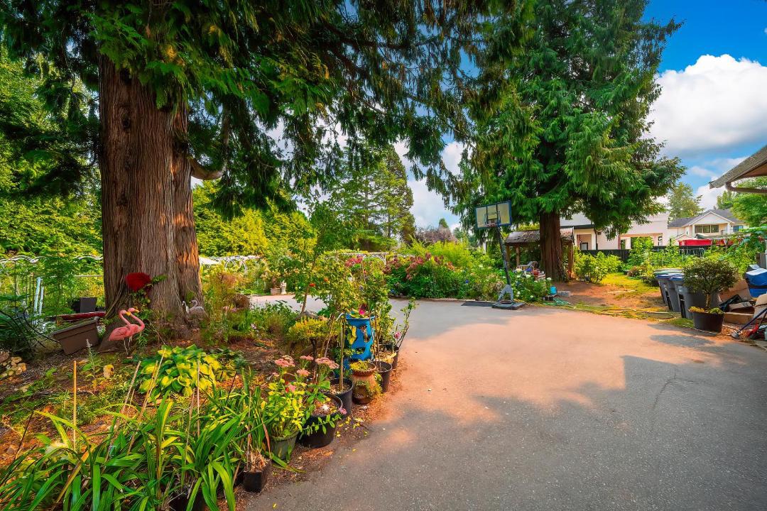 Photo of Others in Surrey