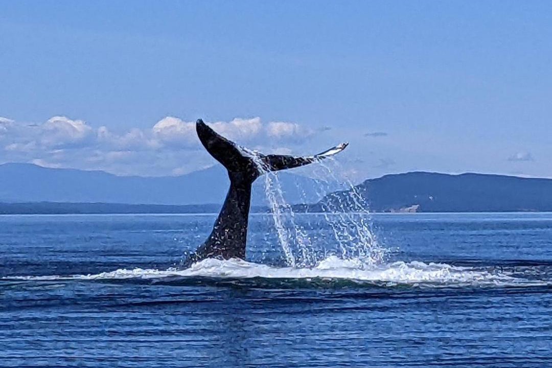 Photo of Others in Regional District of Nanaimo
