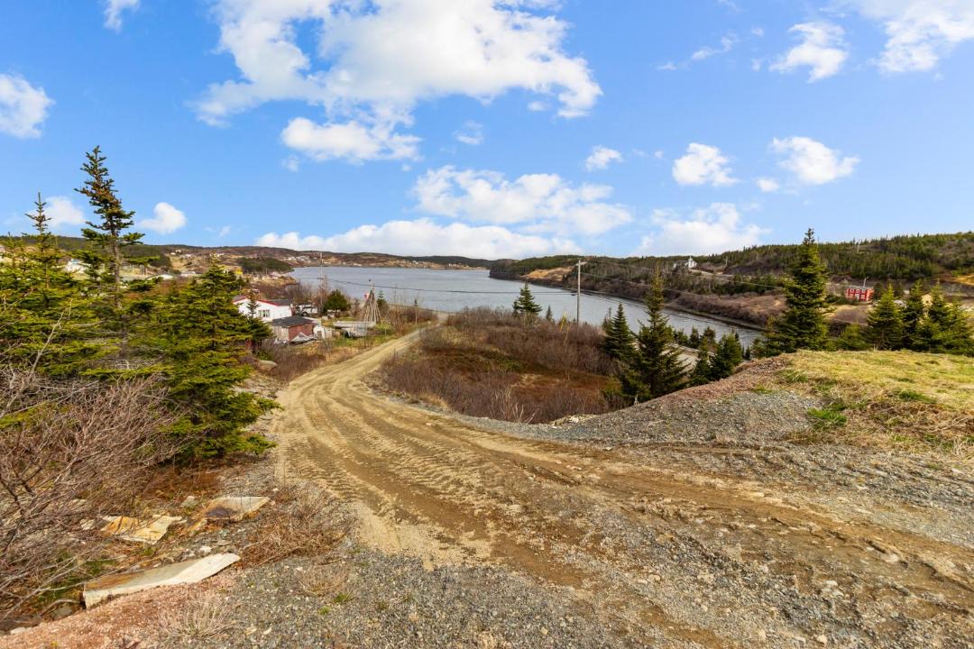 Photo of Others in Port Rexton