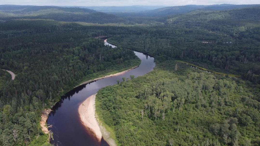 Photo of Others in Mauricie