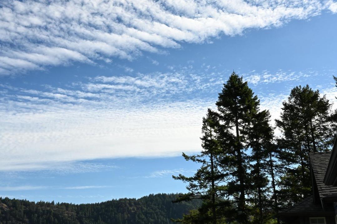 Photo of Others in Malahat