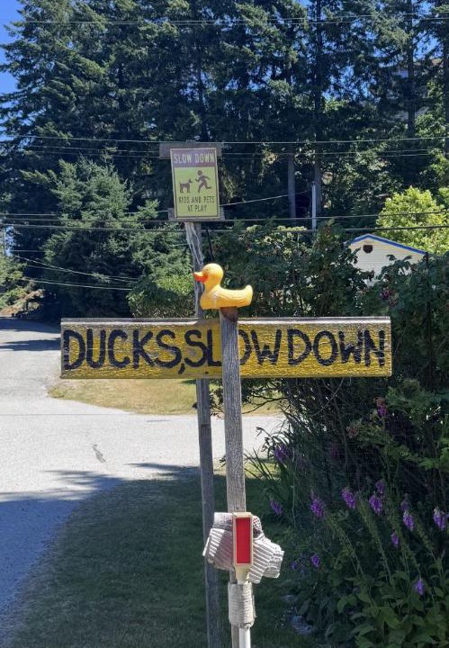 Photo of Outdoor in Gibsons