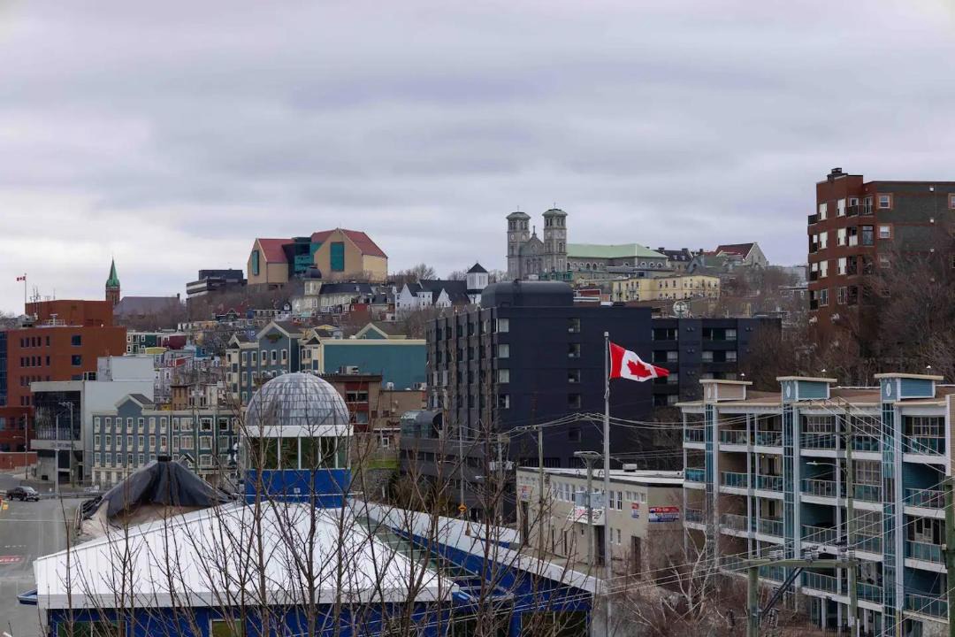 Photo of Others in Downtown St. John's