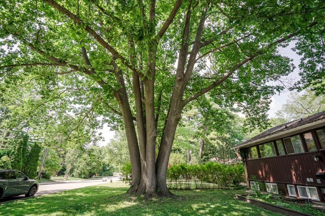 Photo of Others in Clarkson-Lorne Park