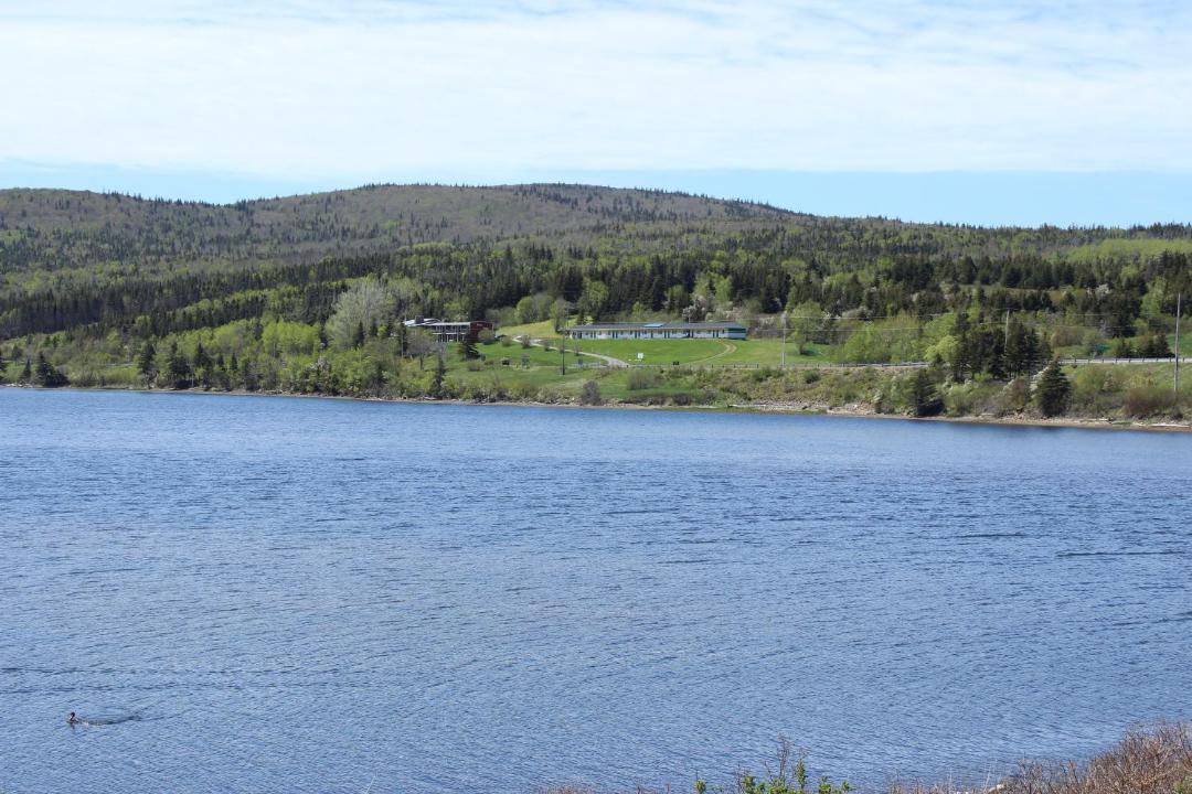 Photo of Others in Margaree Harbour