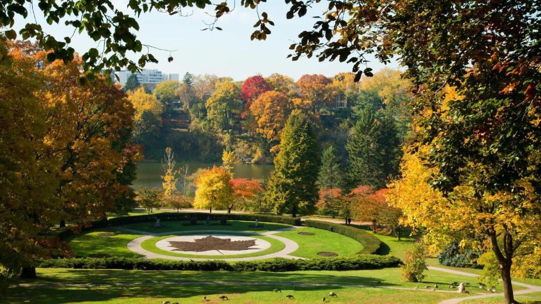Photo of Others in High Park-Swansea