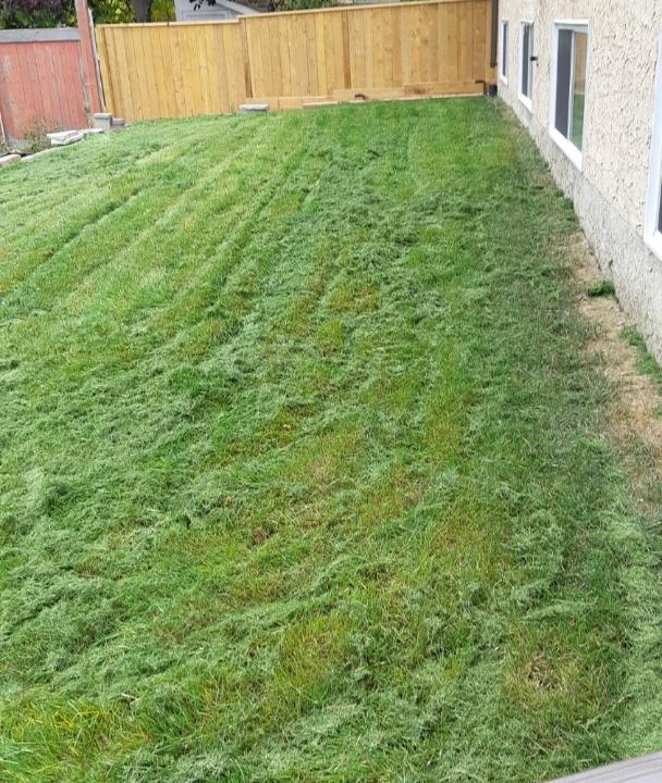 Photo of Others in Northwest Calgary