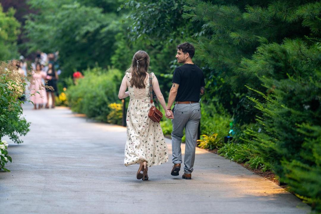 Photo of Others in Central Hamilton