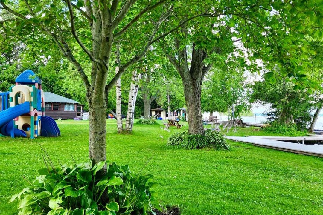 Photo of Others in Rosedale