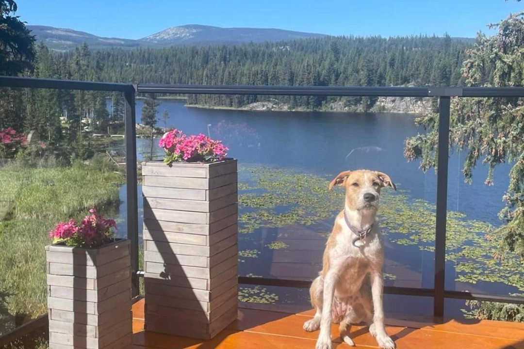 Photo of Others in Idabel Lake